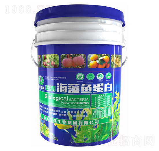 ���������~����-�ٻ�����