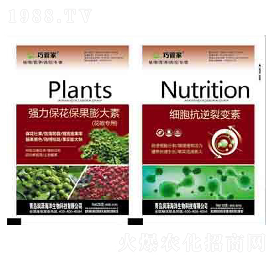 �����������������+����������׃�� ����