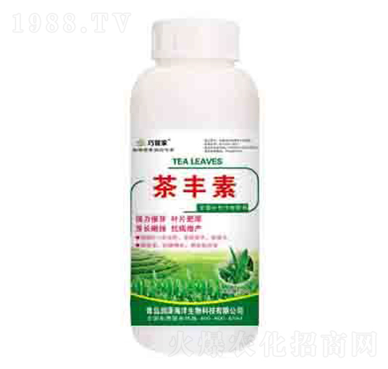 ���S�� �ɹܼ� ��(r��n)��