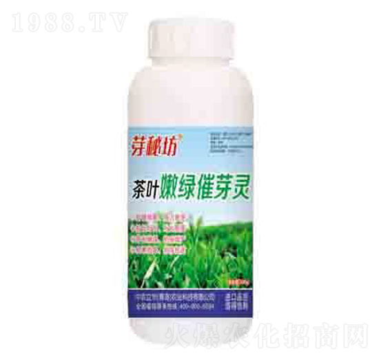 ���~�۾G��ѿ�` ѿ�ط� ��(r��n)��