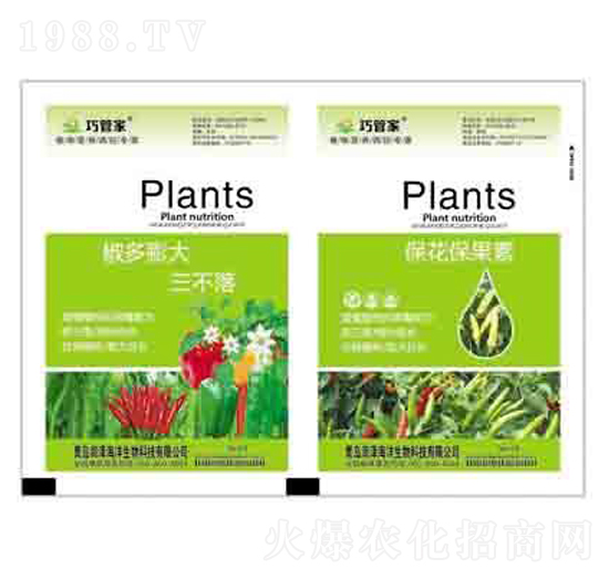 �������������+���������� ����