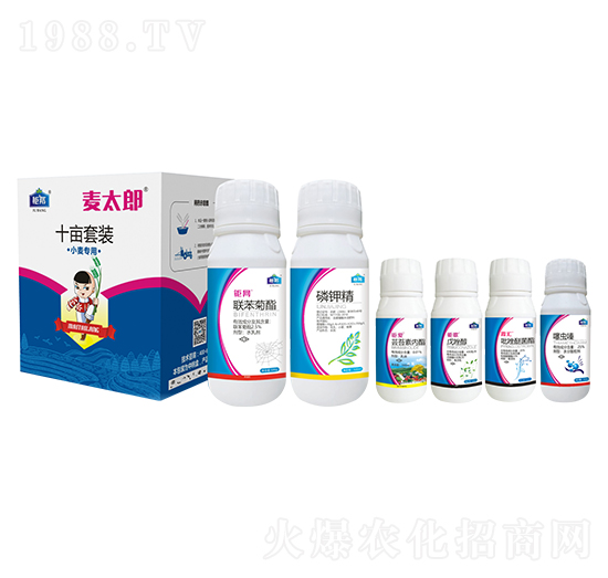 С������ʮ�����b ��̫�� ⠰��r(n��ng)�I(y��)