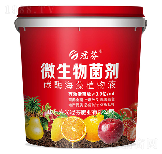 ΢������� ̼ø����ֲ��Һ �ڷ�