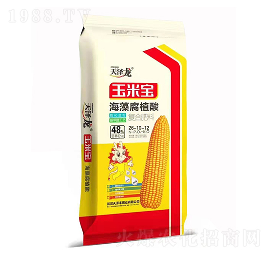 ���帯ֳ��ͺϷ���28-10-12 ���׌� �����