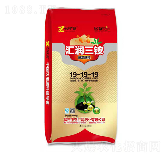 �������19-19-19 �R��(r��n)���� �Ј�R��(r��n)