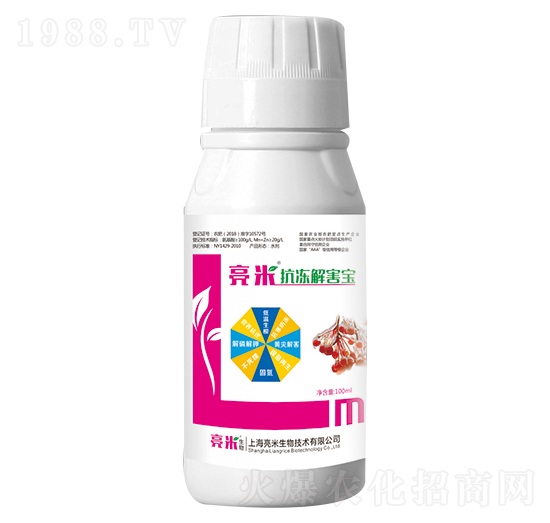 �����⺦�� ��������