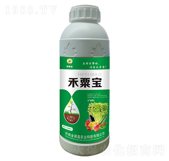 ���ڌ����V�V�ͣ� ��Mӯ�r�I(y��)