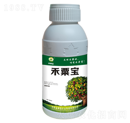 ����(sh��)��(zhu��n)�÷� ���ڌ� ��M(m��n)ӯ�r(n��ng)�I(y��)