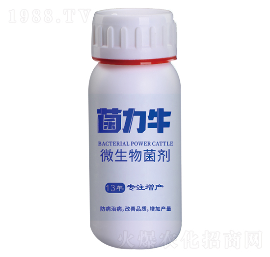 ΢������� ����ţ ����