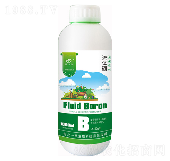 ���w�� ������ һ������