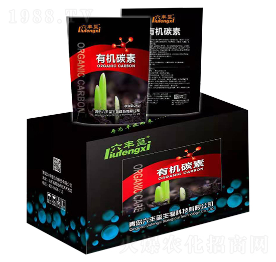 �ЙC(j��)̼��-���S�t