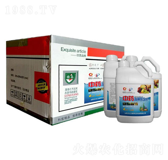 ��ˎ���Ǵ�1̖-�W�����F