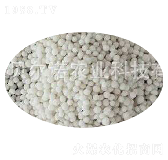 ��(f��)�Ϸʟo(w��)�������� ؐ���Z�r(n��ng)�I(y��)