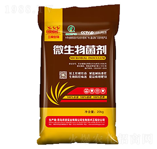 10�|΢������� �G���� �����_