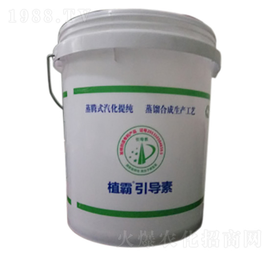 ֲ��������-��������