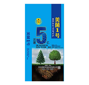 ����1̖(h��o) Ӣ������1