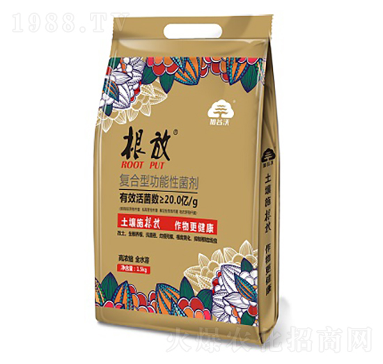 ��(f��)���͹����Ծ��� ���� �ӹ���