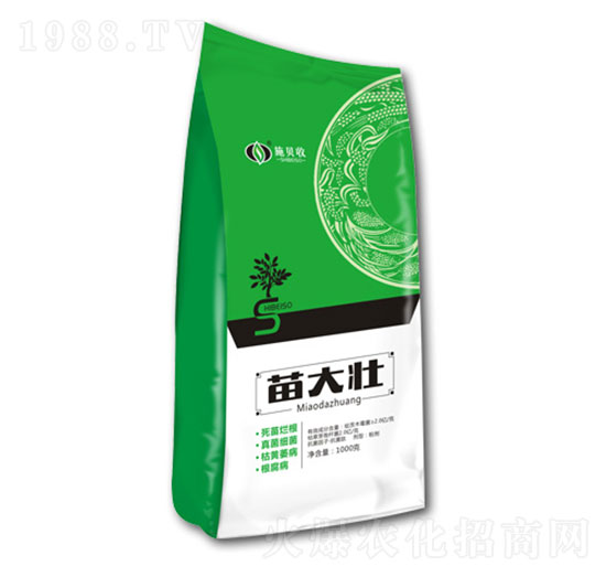 ���� ʩؐ��