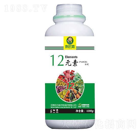 12Ԫ��-����ɭ