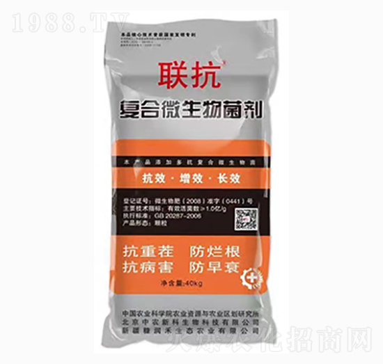 �ͺ�΢�������-��-������