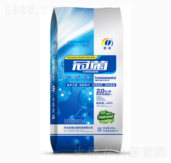 ΢�������-�ھ�-�ǵ�