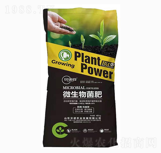 ΢�������-ؐ�Z