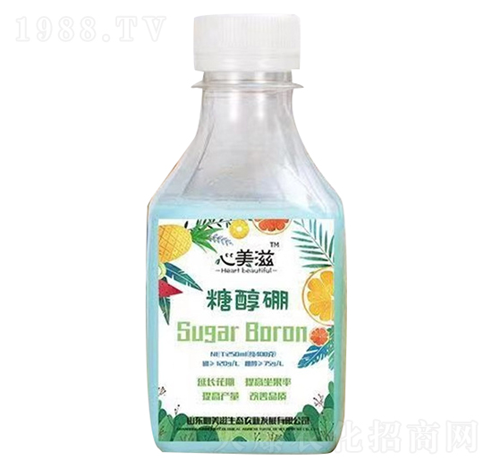 �Ǵ���-������