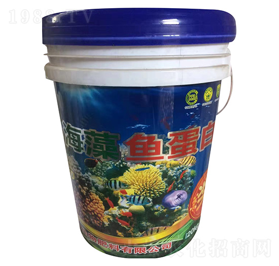 �����~����-ʢ������