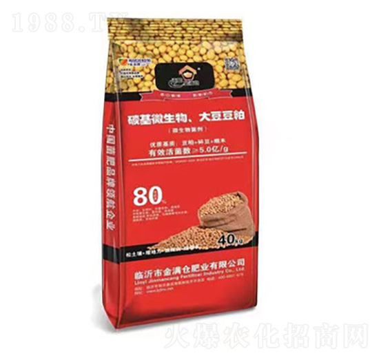 ̼��΢�������󶹶���-��M�}