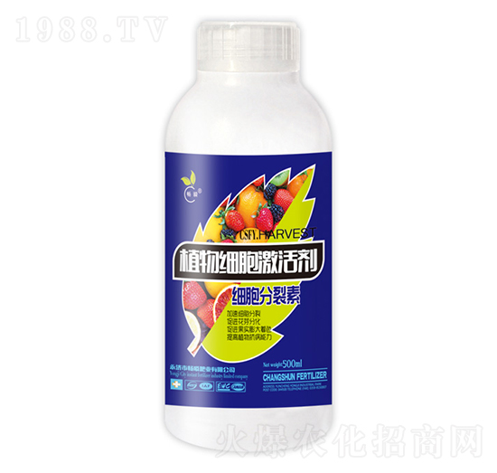 ֲ�：(x��)�����-��˲