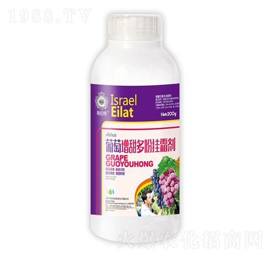 ���������ے�˪?ji��ng)?��˲