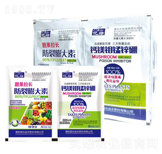 �n�����L�����+�}�V�f�i�\��-�������r(n��ng)