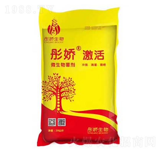 ΢������� ͮ�� ����