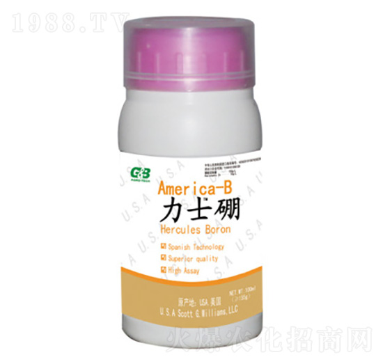 ľ�|(zh��)�Ǵ����w��-��ʿ��-���A��