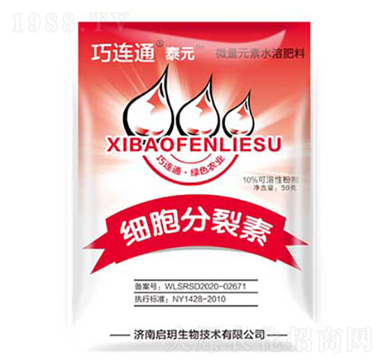 ��(x��)�������� ����