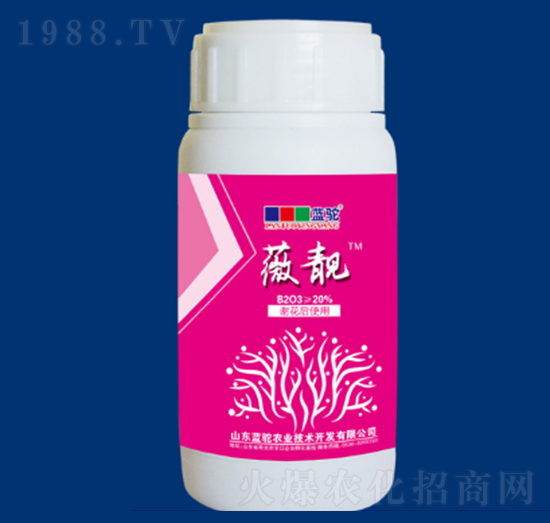 ޱ�n�K�o�-�{��r(n��ng)�I(y��)