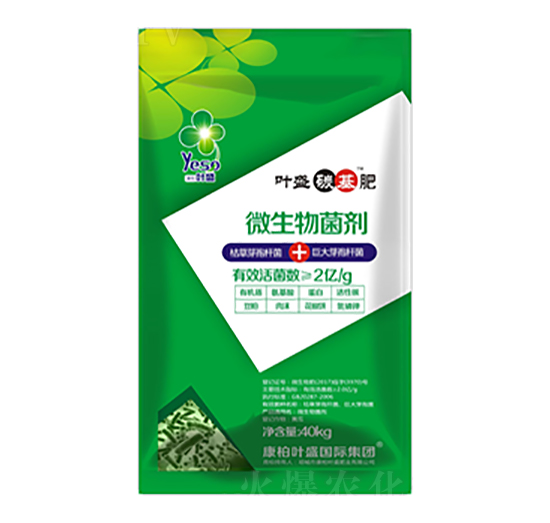 �~ʢ̼����-�~ʢ����