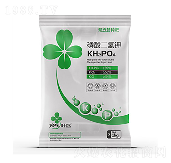 ��������-�~ʢ����