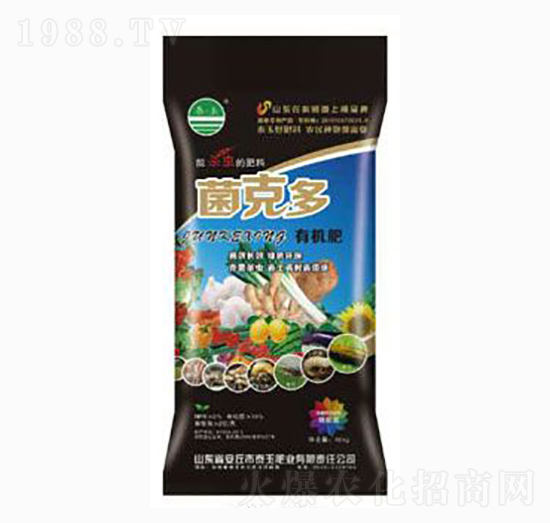 �����Ԛ��x(ch��ng)��-���˶�-̩��ʘI(y��)