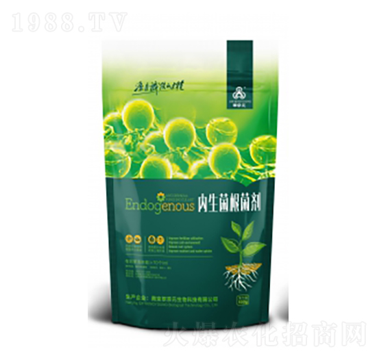 ��(n��i)����������-�侩Ԫ