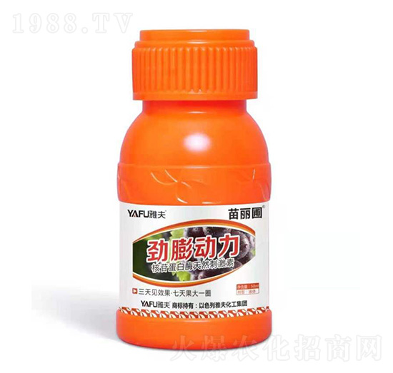 �������-������-�ŷ򻯹�