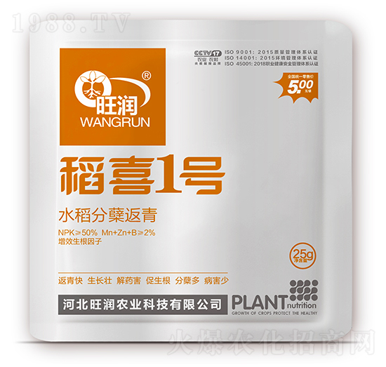 水稻分蘗返青-稻喜1號-旺潤農(nóng)業(yè)