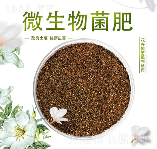 ΢������ʣ���ĩ��-������