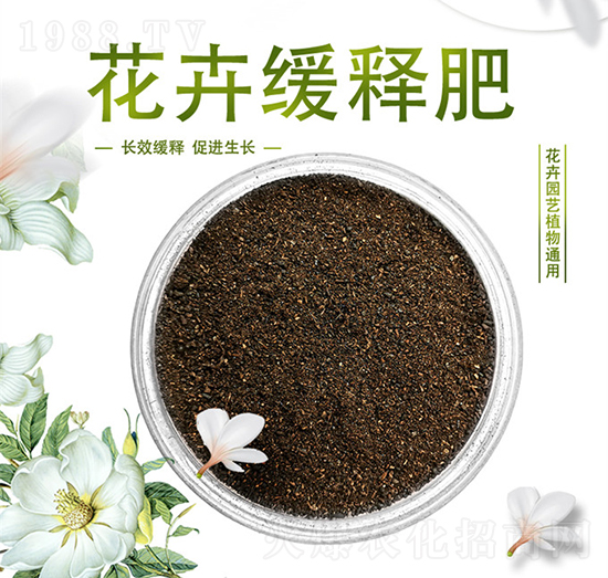 ���ܾ�ጷ�-������