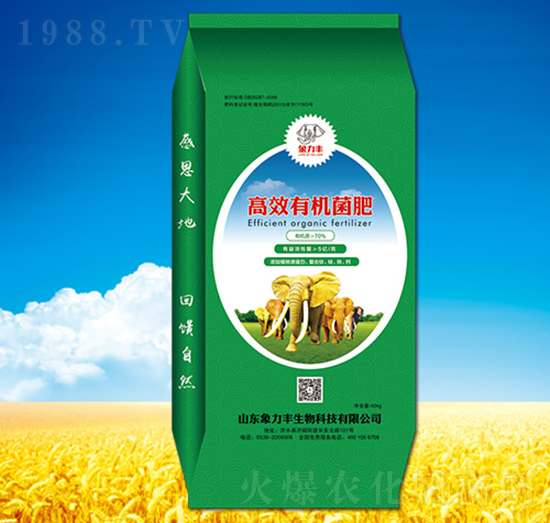 �ЙC����-�����S