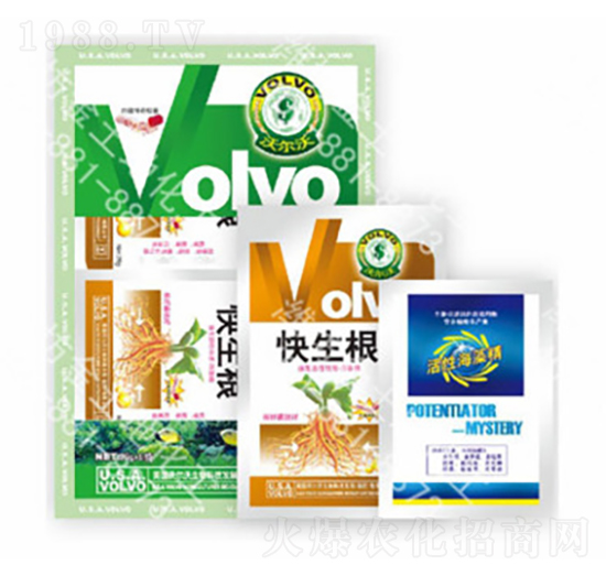 ������-������