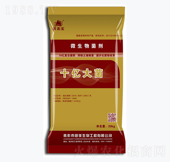 ΢�������-ʮ�|���-��������