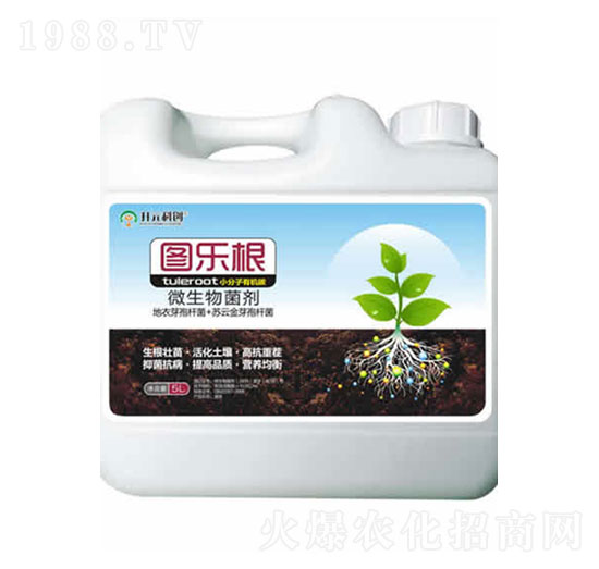 ΢�������-�D����-����ֲ��