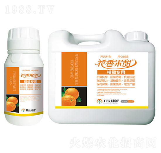 ���ٌ���-�������-����ֲ��