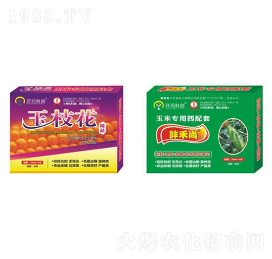 ���׿���������-����ֲ��